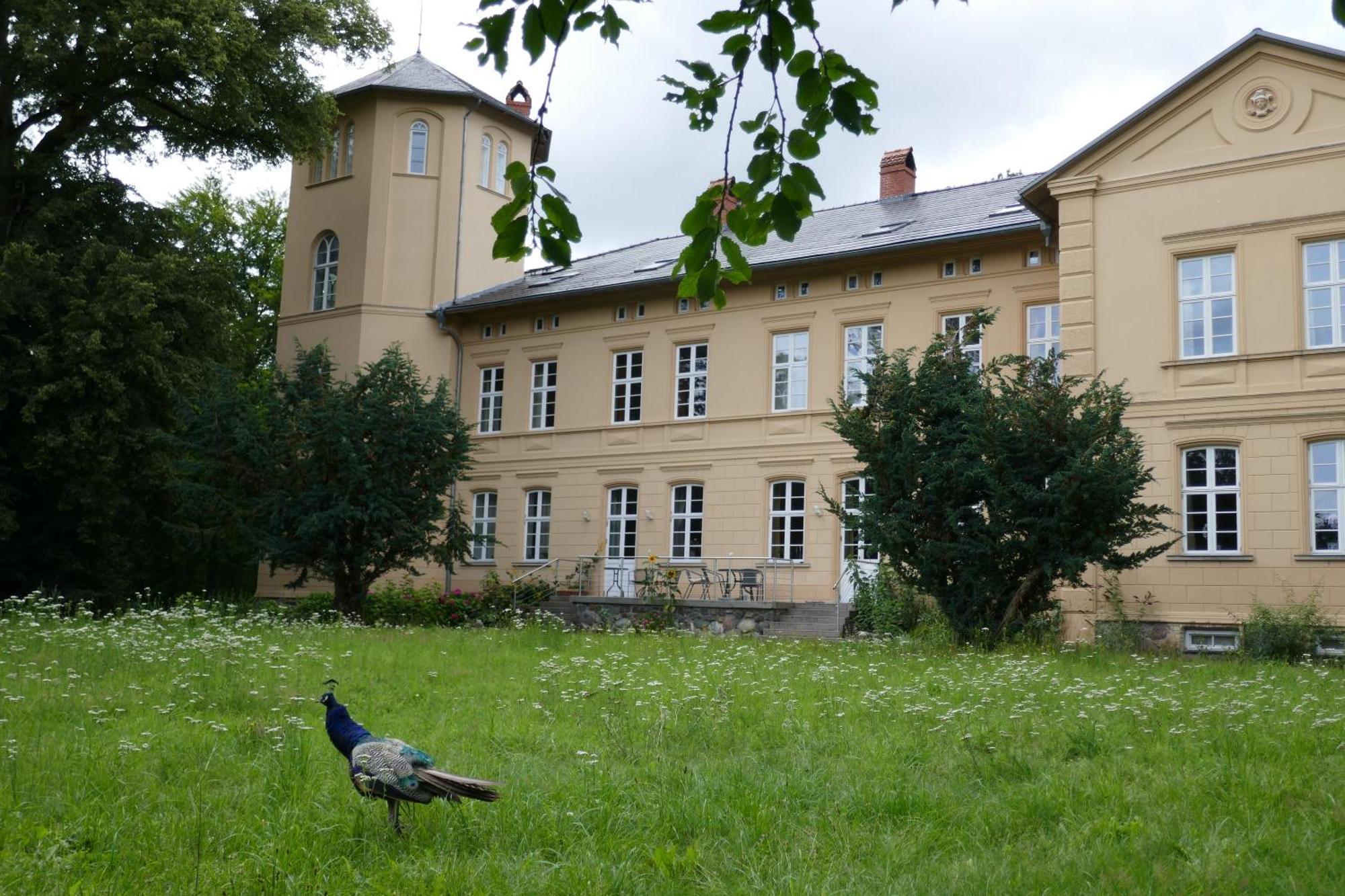 Landhaus Schloss Koelzow Kolzow Экстерьер фото